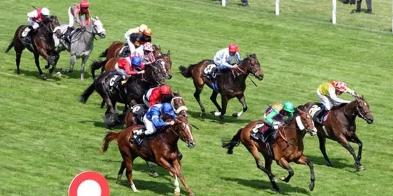 Mẹo đặt cược đua ngựa giúp thắng lớn nhiều lần